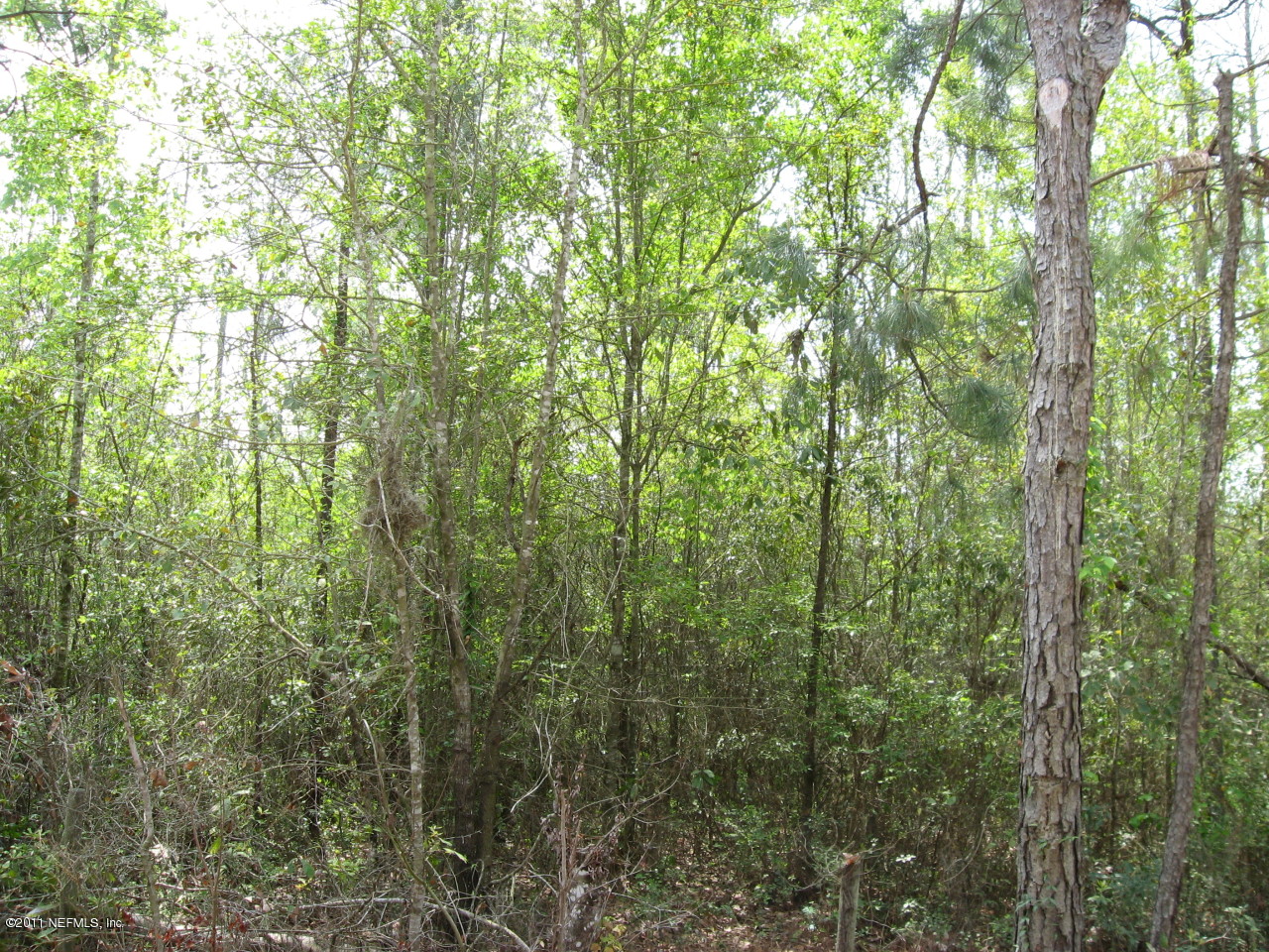 Lot Pratt Pratt Siding Road Callahan, FL 32011 - Photo 1 of 2 Front