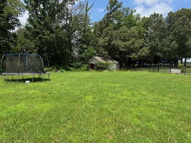 110 Falcon Cove Middleton, TN 38052 - Photo 17 of 20 a view of a backyard with a garden