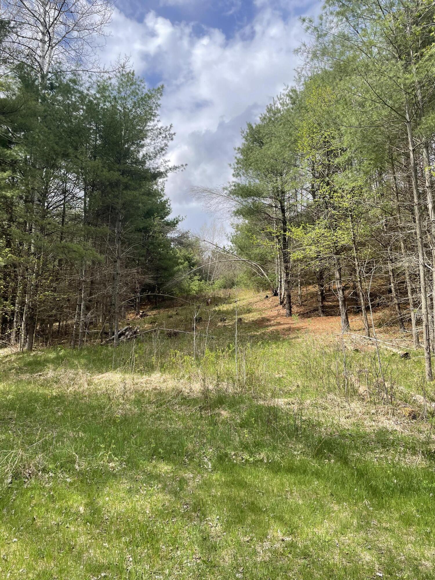 1911 Haselton Road Wilmington, NY 12997 - Photo 19 of 21