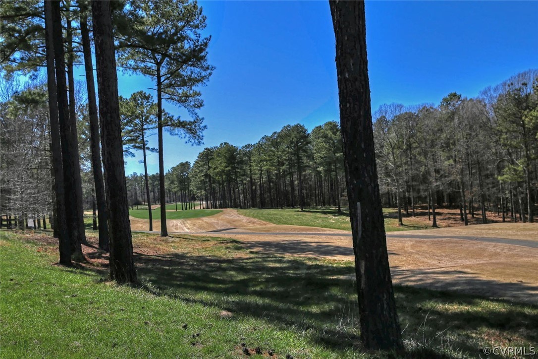 2640 Gullane Road Powhatan, VA 23139 - Photo 4 of 8 a view of a yard with a tree