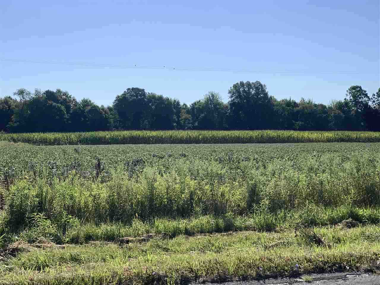 3 Kennedy Road Jackson, MI 49201 - Photo 1 of 1