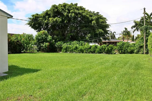 a view of a garden with a tree in the background