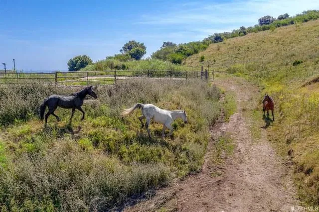 $2,880,000 | 786 Humboldt Road, Brisbane, CA 94005