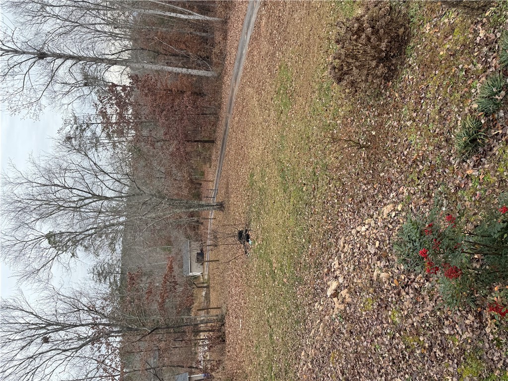 132 Rolling Hills Road Six Mile, SC 29682 - Photo 2 of 19