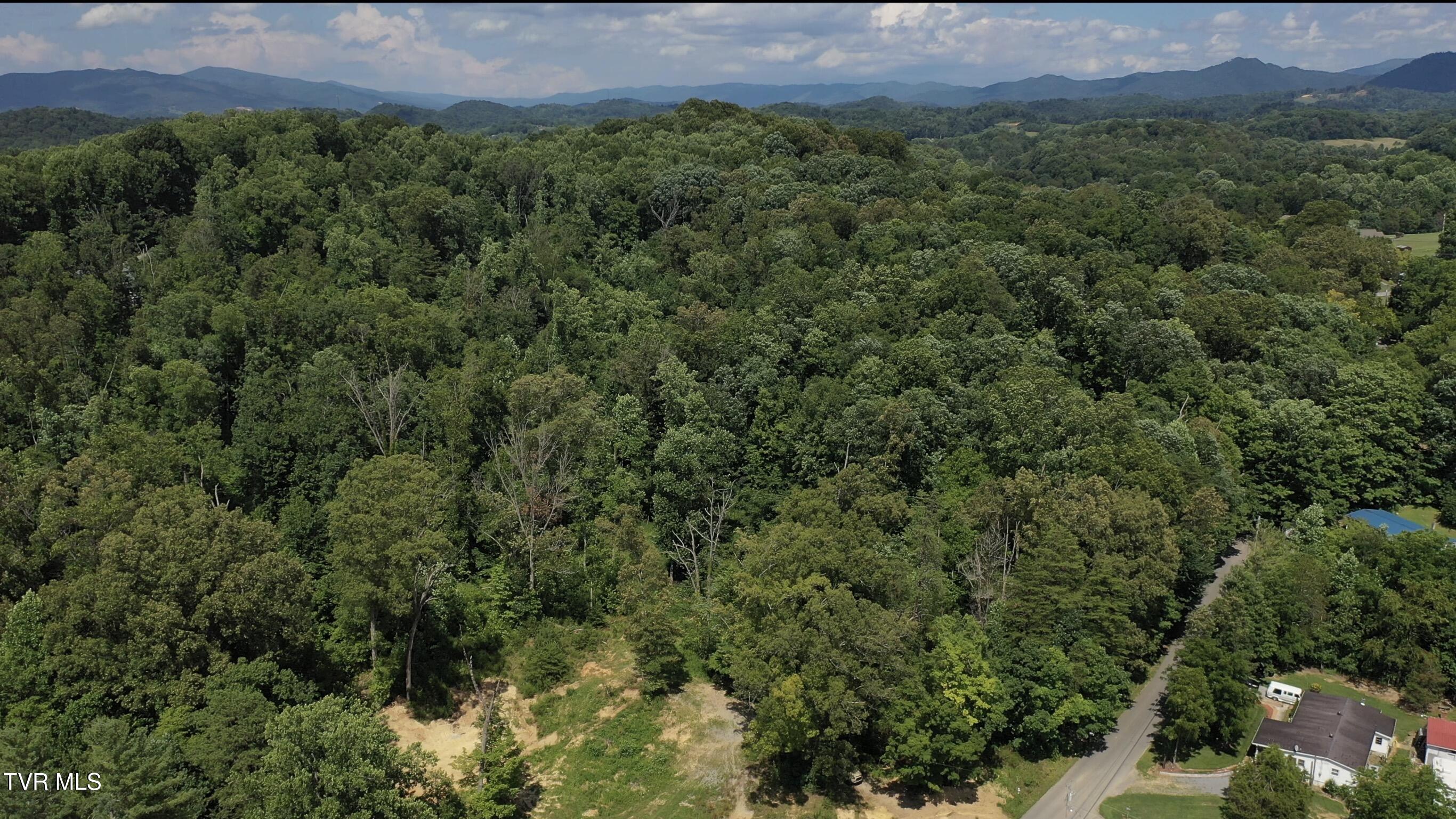 12-ac Max Jett Road Johnson City, TN 37601 - Photo 20 of 27 _Pic22 (5)
