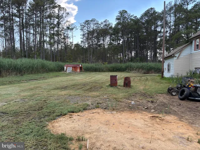 a view of backyard with green space