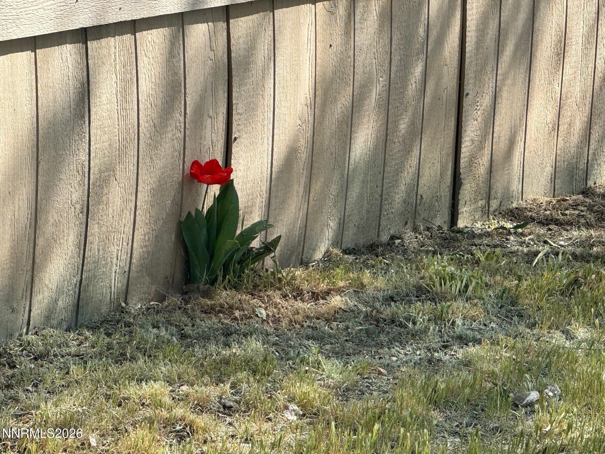 7075 Stratus Street Winnemucca, NV 89445 - Photo 28 of 30 IMG_5872