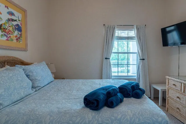 a bed room with a bed and a television