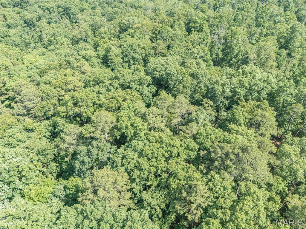 10130 Fish Hook Road Potosi, MO 63664 - Photo 24 of 29