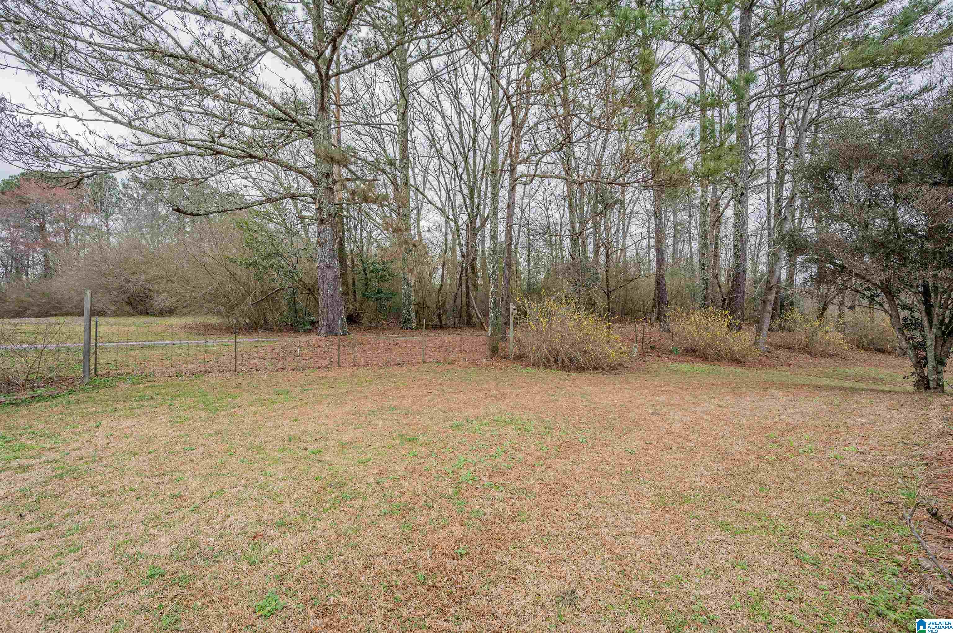 9024 Mosley Manor Circle Morris, AL 35116 - Photo 34 of 35