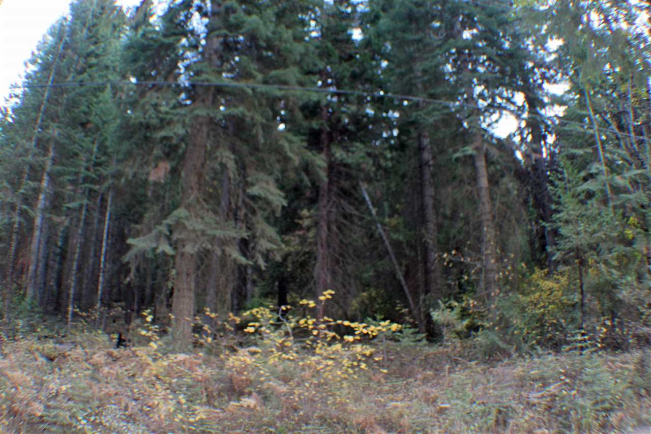 35 B Sugar Pine Road Weed, CA 96094 - Photo 2 of 9 Gallery Image 2