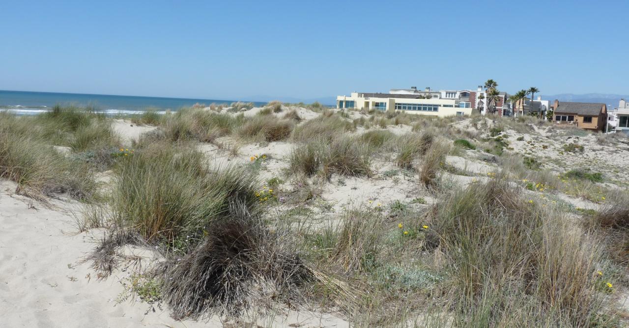 Lot 7 Mandalay Beach Road Oxnard, CA 93035 - Photo 5 of 7 lot 7; 5