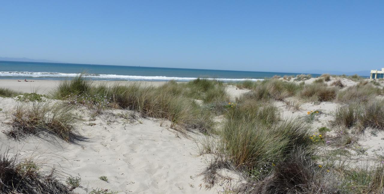 Lot 7 Mandalay Beach Road Oxnard, CA 93035 - Photo 6 of 7 lot 7; 6