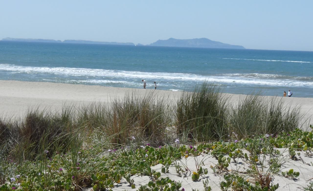 Lot 7 Mandalay Beach Road Oxnard, CA 93035 - Photo 7 of 7 lot 7; 7