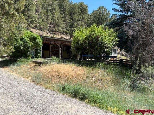 224 Spud Hill Road Montrose, CO 81403 - Photo 6 of 16