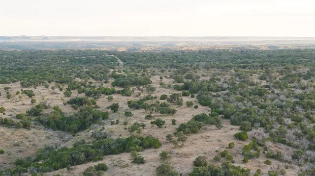 a view of a city with lush green forest