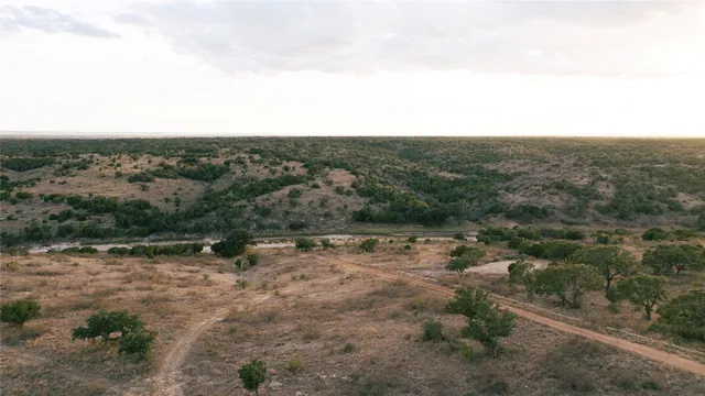 a view of a forest with trees in the background