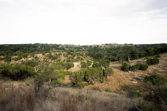 a view of a forest with a mountain in the background