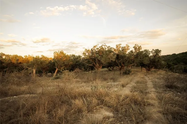 a view of backyard with green space
