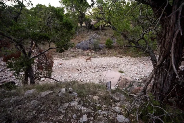a view of a yard with an outdoor space