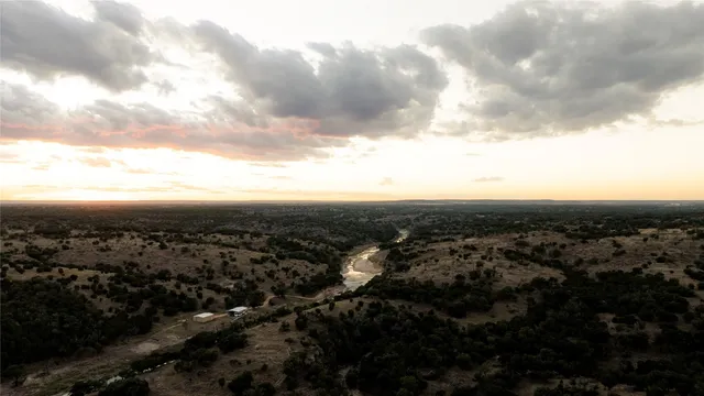 a view of a dry yard with lots of trees
