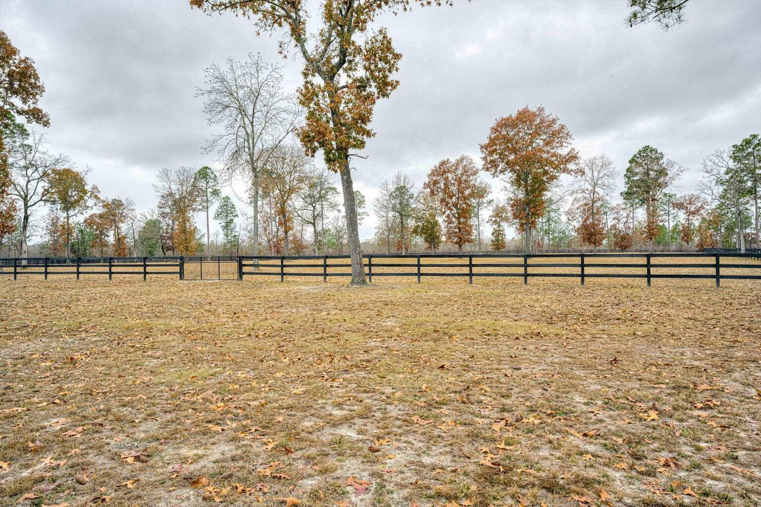 524 Paddock Clb Parkway Aiken, SC 29803 - Photo 48 of 65 48