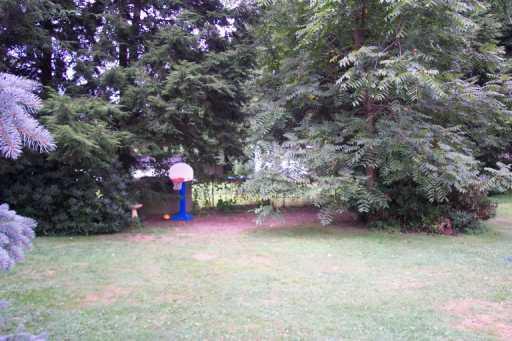 131 Lindsay Road Carnegie, PA 15106 - Photo 2 of 8 Yard/Garden.