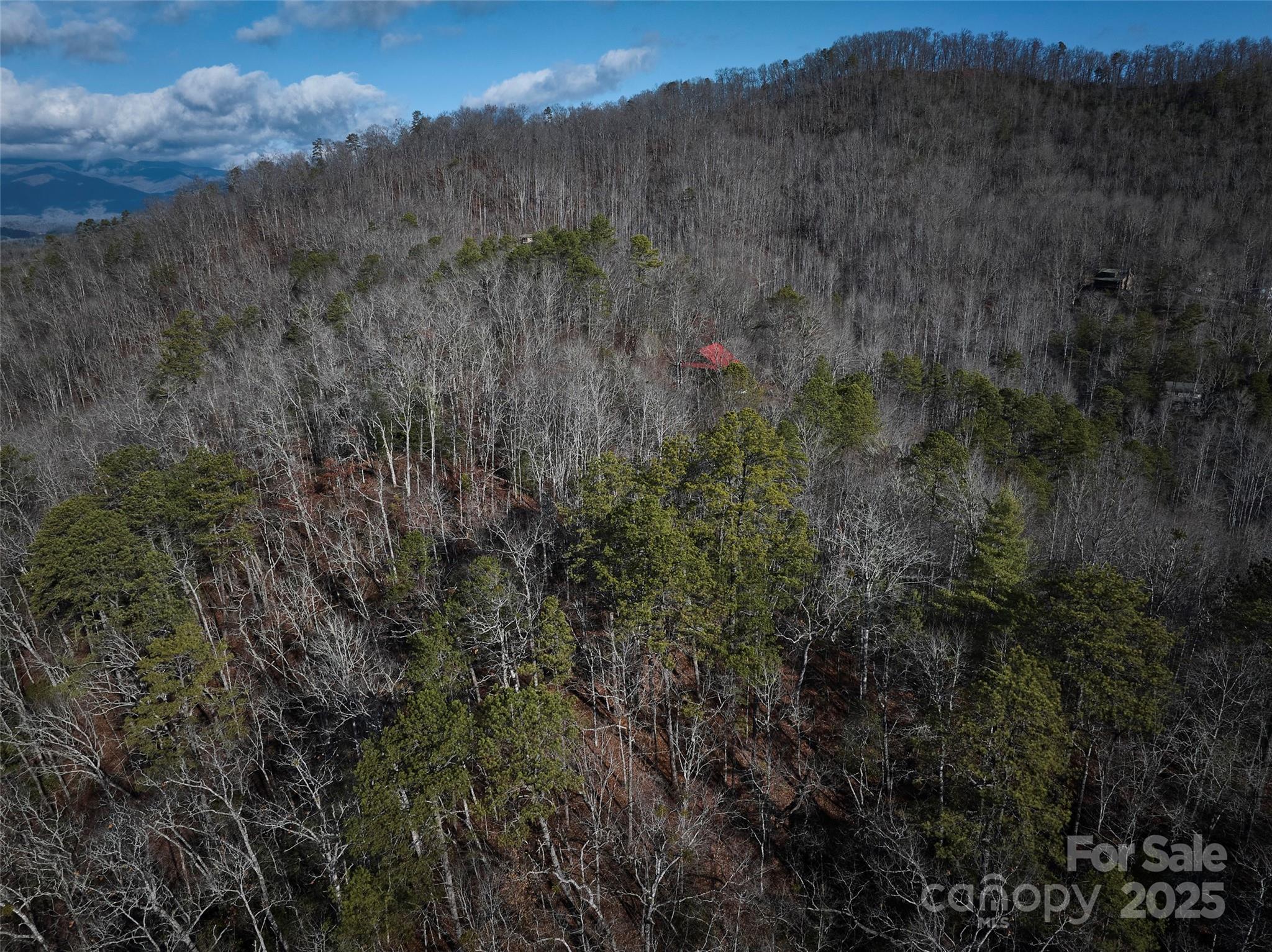 0 East H Bailey Road Bryson City, NC 28713 - Photo 30 of 41 Gallery Image 30