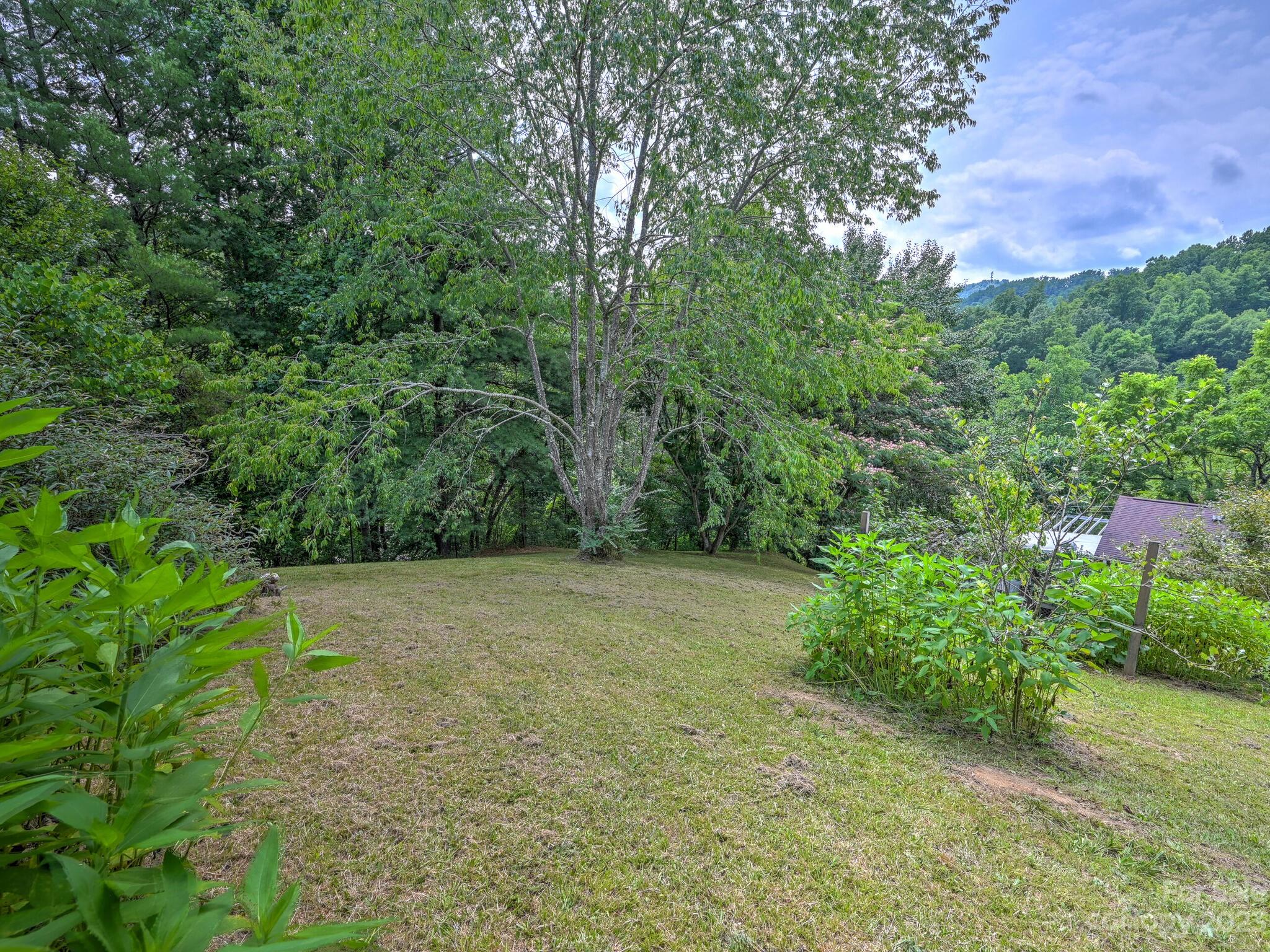 272 Sharp Hollow Road Marshall, NC 28753 - Photo 40 of 46 Gallery Image 40