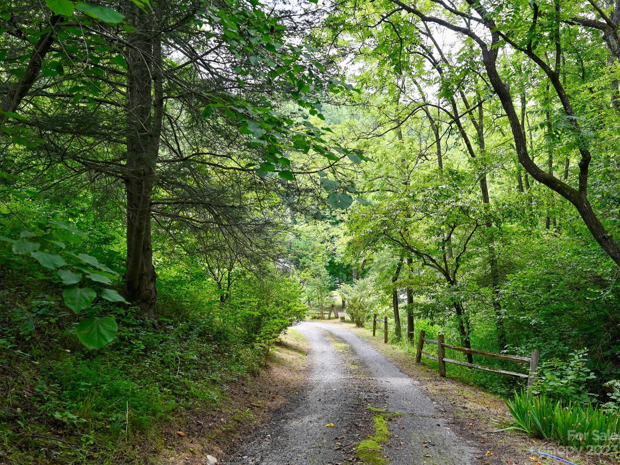 272 Sharp Hollow Road Marshall, NC 28753 - Photo 42 of 46 Gallery Image 42