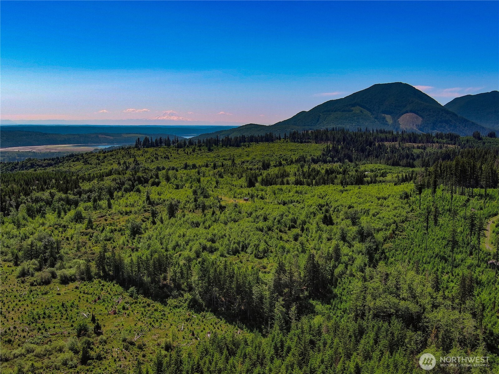 2904 Wildwood Road Quilcene, WA 98376 - Photo 22 of 39 a view of a lush green hillside and a houses