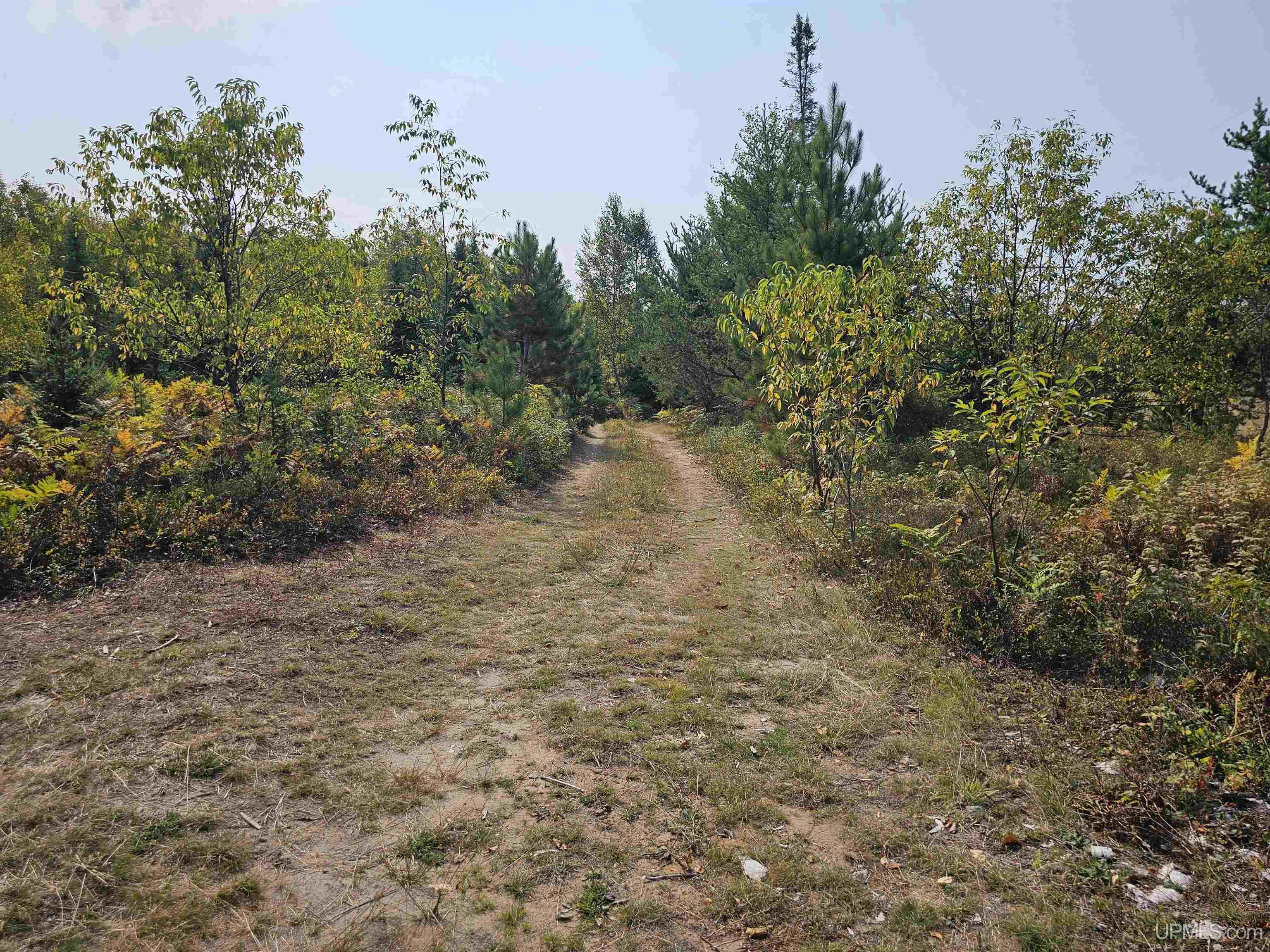 Tbd Willet Lane Ishpeming, MI 49849 - Photo 1 of 25