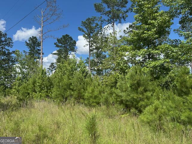 Lot 10 Tennille Oconee Road Tennille, GA 31089 - Photo 1 of 1 a view of a lush green space