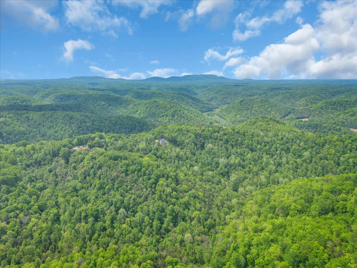 8350 Old Mill Hill Road Dowelltown, TN 37059 - Photo 4 of 69