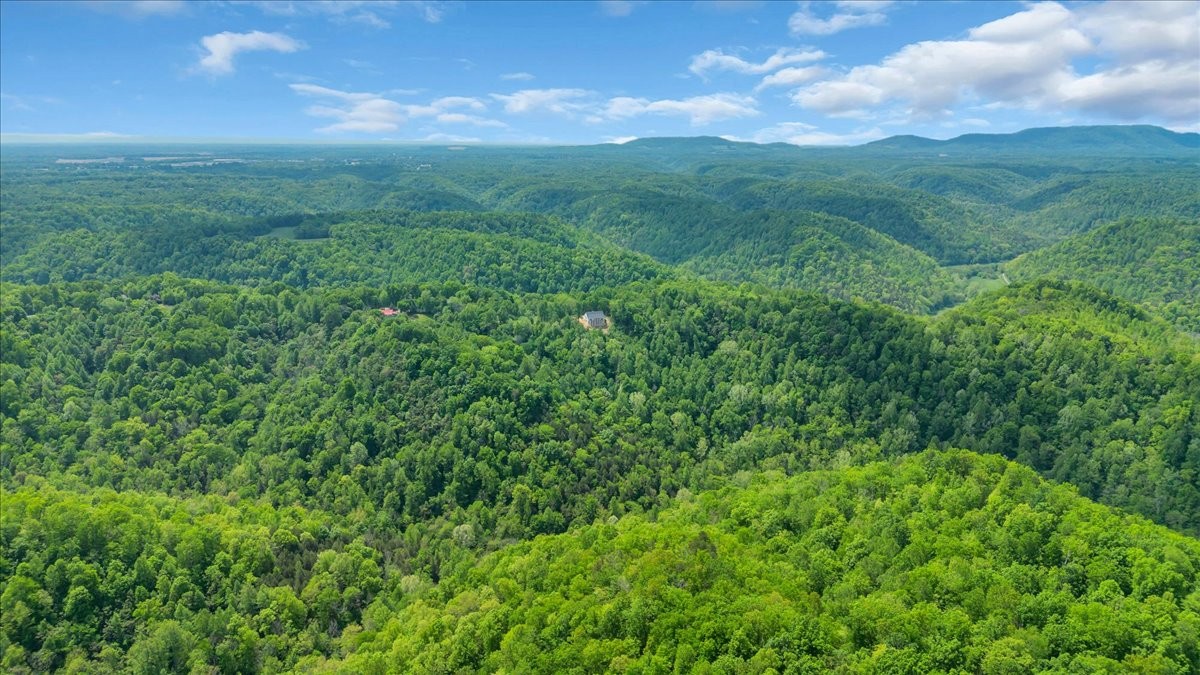 8350 Old Mill Hill Road Dowelltown, TN 37059 - Photo 5 of 69