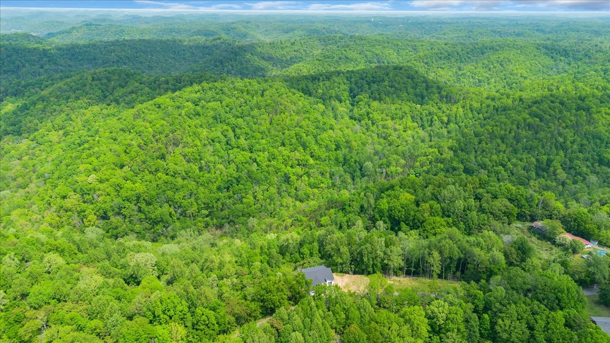 8350 Old Mill Hill Road Dowelltown, TN 37059 - Photo 6 of 69