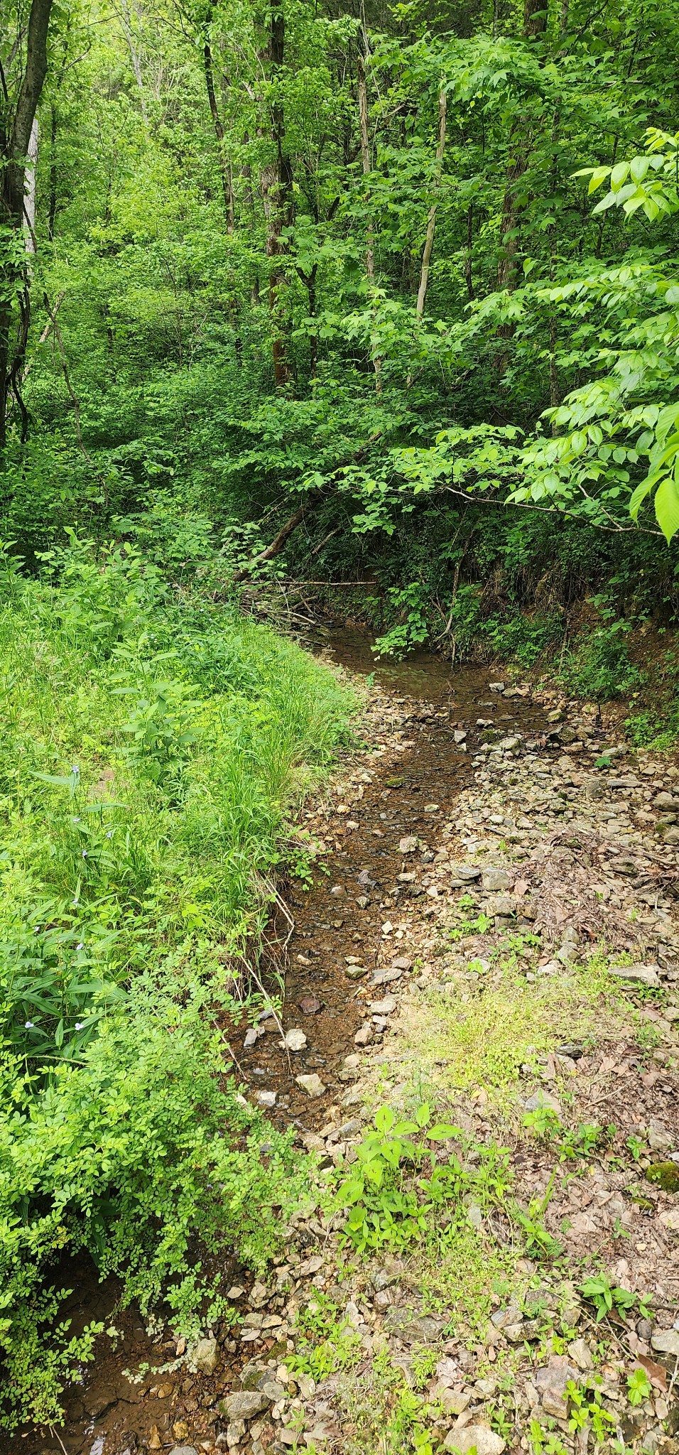 8350 Old Mill Hill Road Dowelltown, TN 37059 - Photo 65 of 69