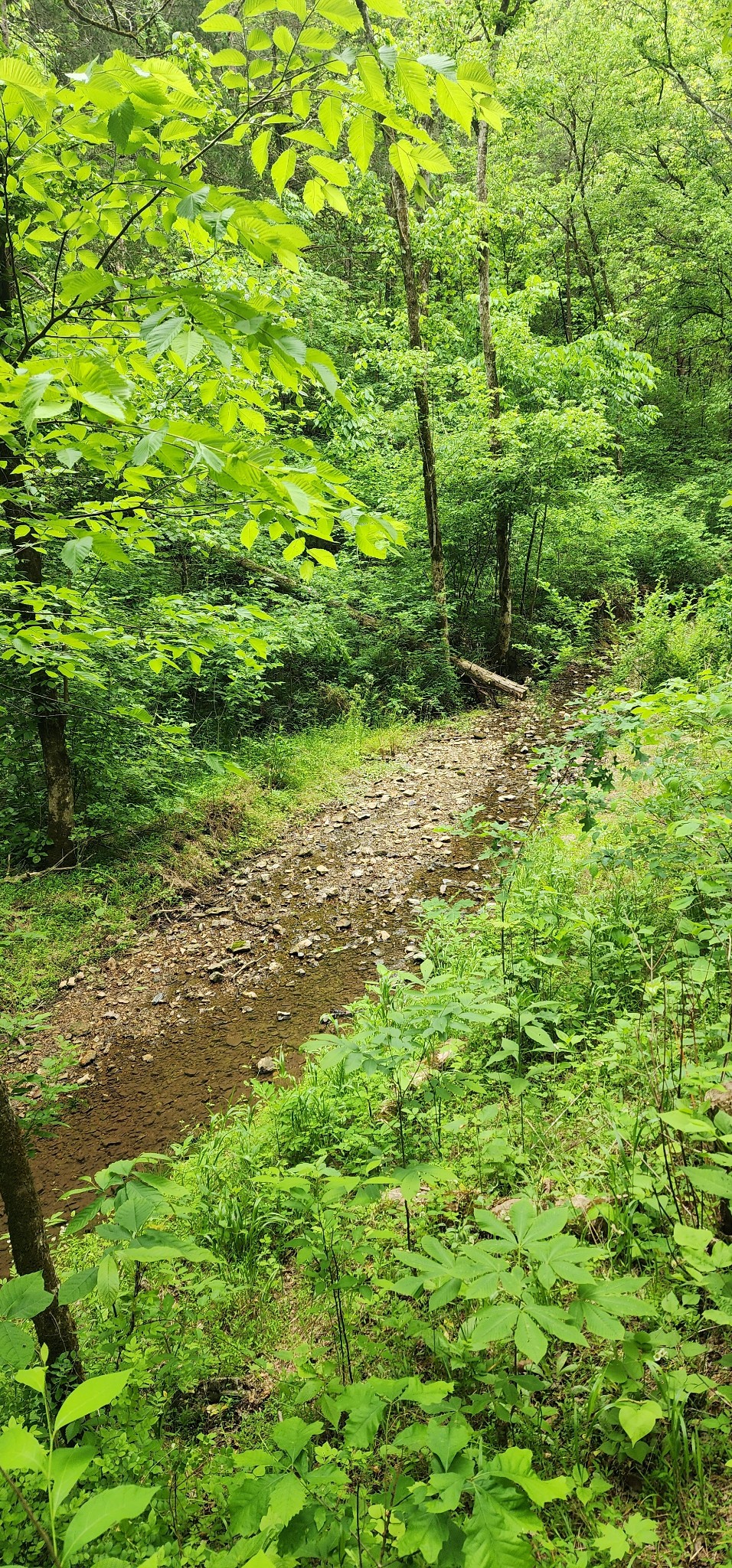 8350 Old Mill Hill Road Dowelltown, TN 37059 - Photo 67 of 69