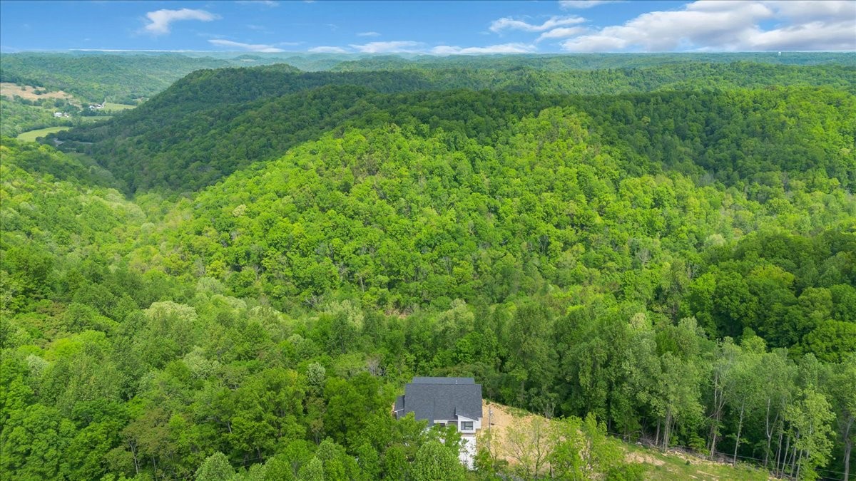 8350 Old Mill Hill Road Dowelltown, TN 37059 - Photo 7 of 69