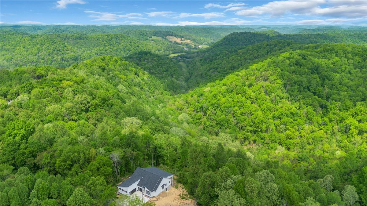 8350 Old Mill Hill Road Dowelltown, TN 37059 - Photo 8 of 69
