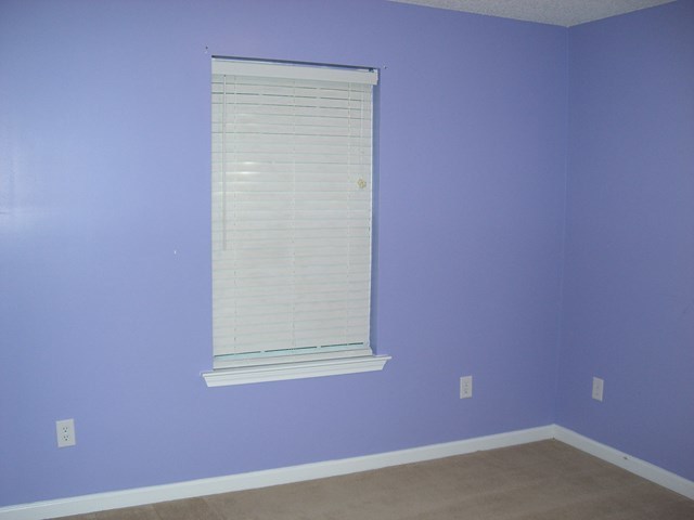 251 Autumn Ridge Trail Gray, GA 31032 - Photo 16 of 16 a view of a small space with a window
