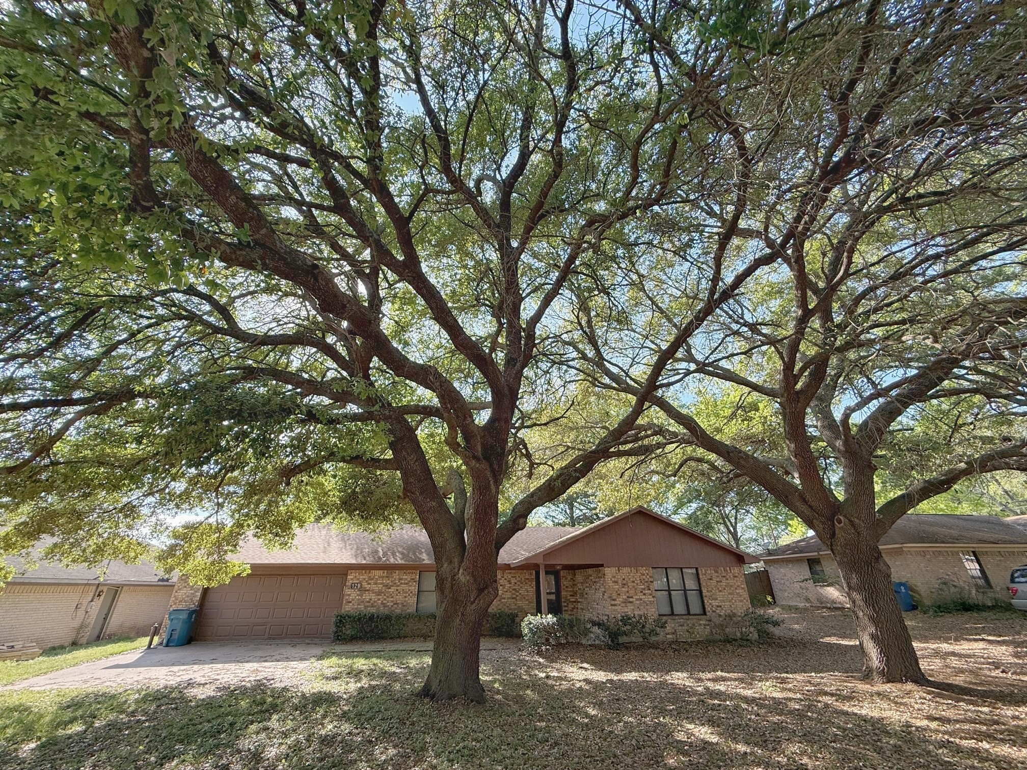 129 Stewart Street Centerville, TX 75833 - Photo 2 of 21 a tree in the middle of a yard