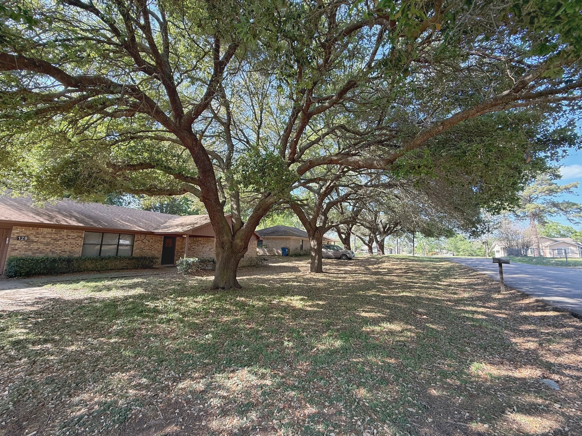 129 Stewart Street Centerville, TX 75833 - Photo 5 of 21 a view of a yard with plants and trees
