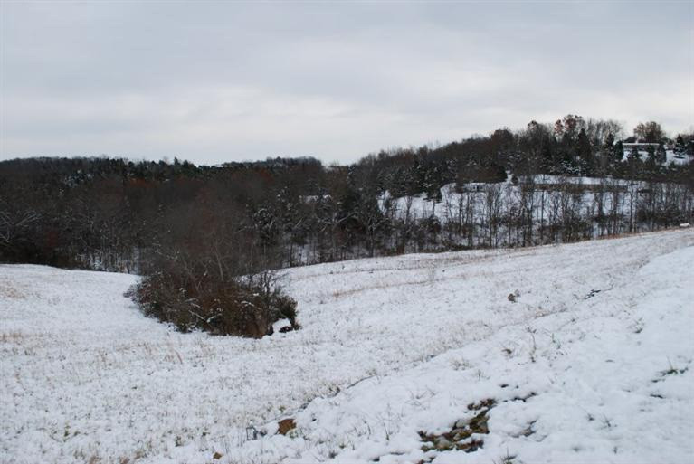 3.07-acres Pleasant Ridge Road Alexandria, KY 41001 - Photo 2 of 4 Gallery Image 2