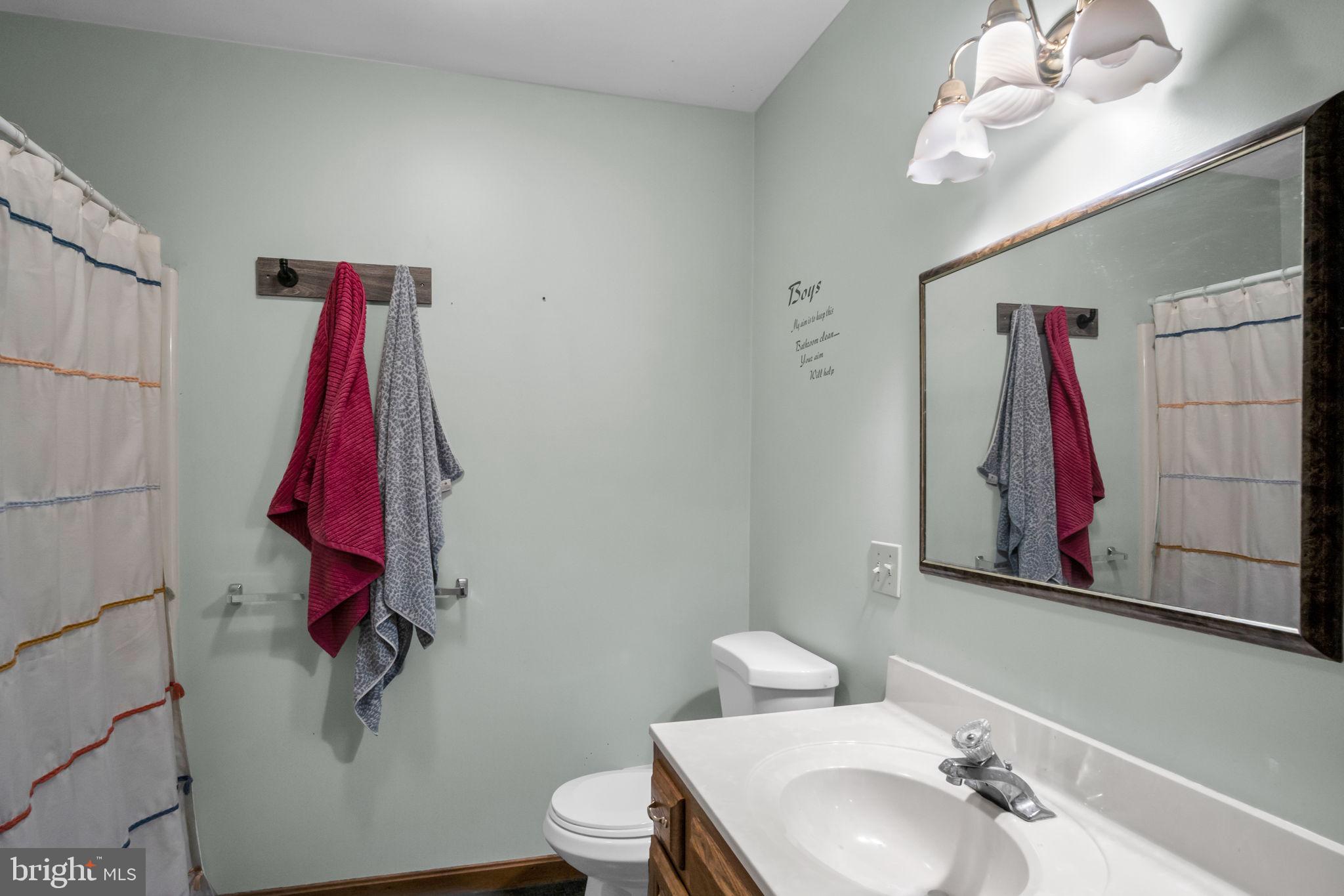 16 Hill Road Carlisle, PA 17015 - Photo 25 of 36 a bathroom with a sink a toilet and shower