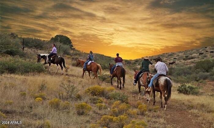 170-th St 170-th Street Rio Verde, AZ 85263 - Photo 3 of 13 Rio Verde horse riding