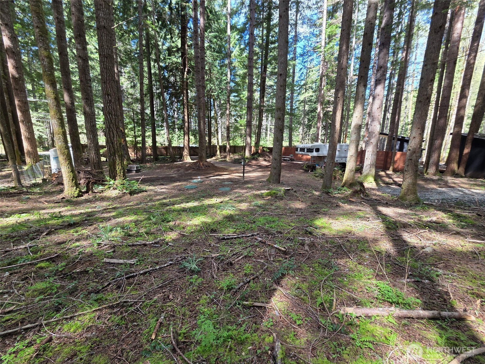 56207 Kernahan Road East Ashford, WA 98304 - Photo 12 of 13