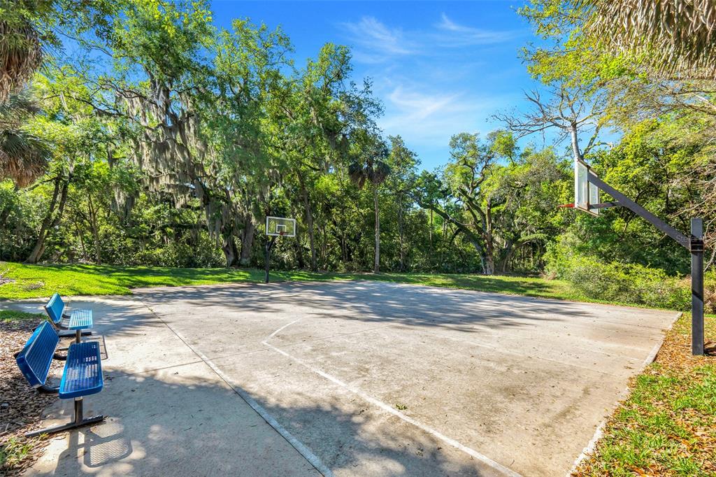 413 Split Oak Court Eustis, FL 32736 - Photo 42 of 50