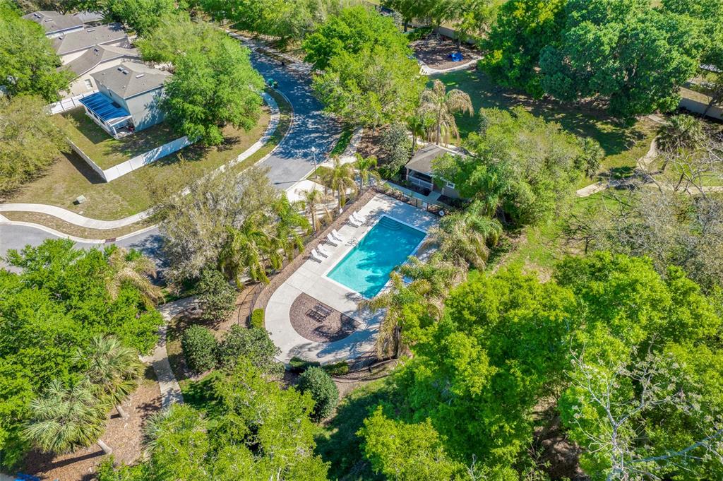 413 Split Oak Court Eustis, FL 32736 - Photo 44 of 50