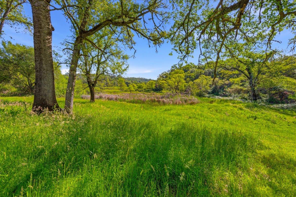 10677 Lazy Valley Road Penn Valley, CA 95946 - Photo 41 of 65